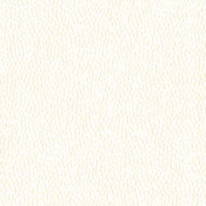 PANNELLO COMPENSATO 222X122X,03 CM KRISS ROLLER