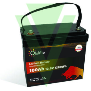 BATTERIA AL LITIO LIFEPO4 12,8 V 100AH BMS CON BLUETOOTH DIMENSIONI: 330x170x210mm