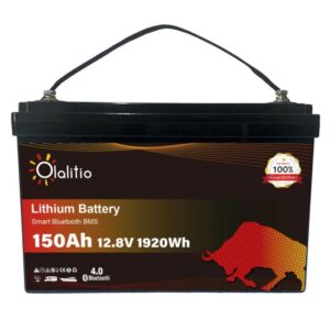 BATTERIA AL LITIO 150AH 12,8V SOTTOSEDILE - CON PIASTRA RISCALDANTE -BLUETOOTH-DIMENSIONI: 355x182x187mm - 13.5 KG